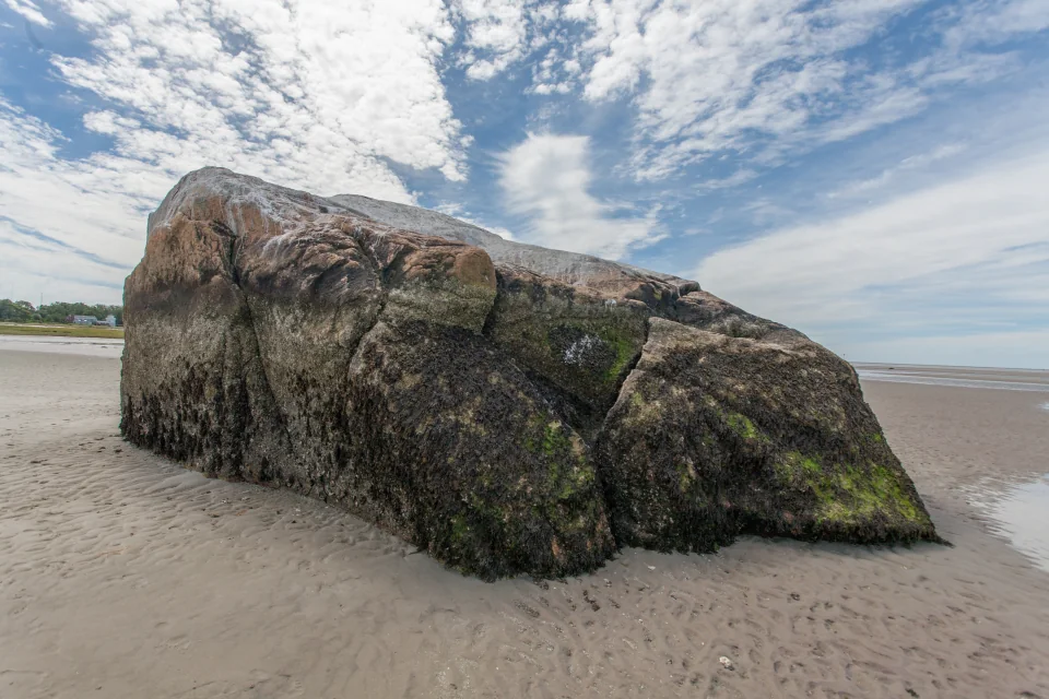 Tidal boulder with seaweed