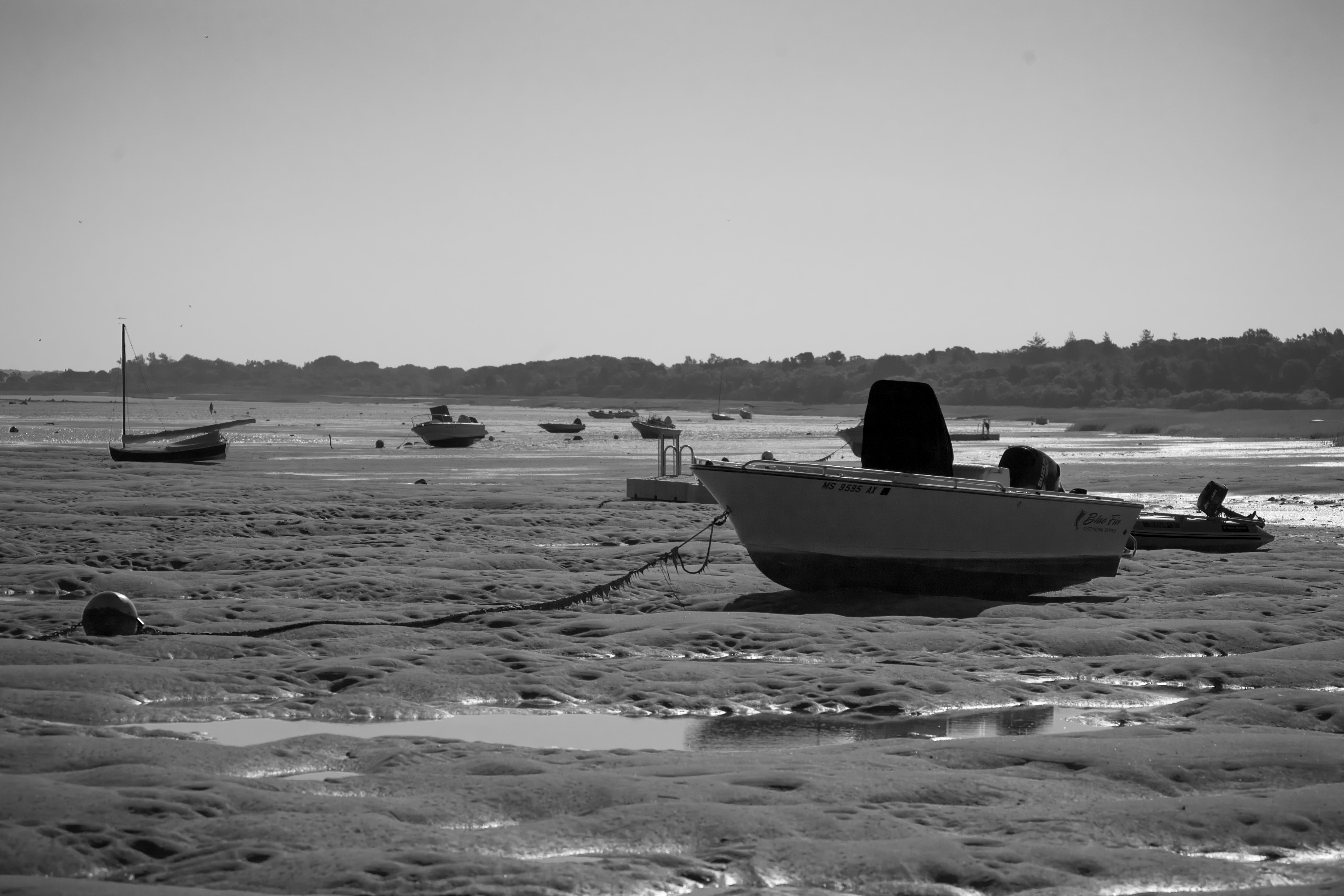 Boats stranded at low tide