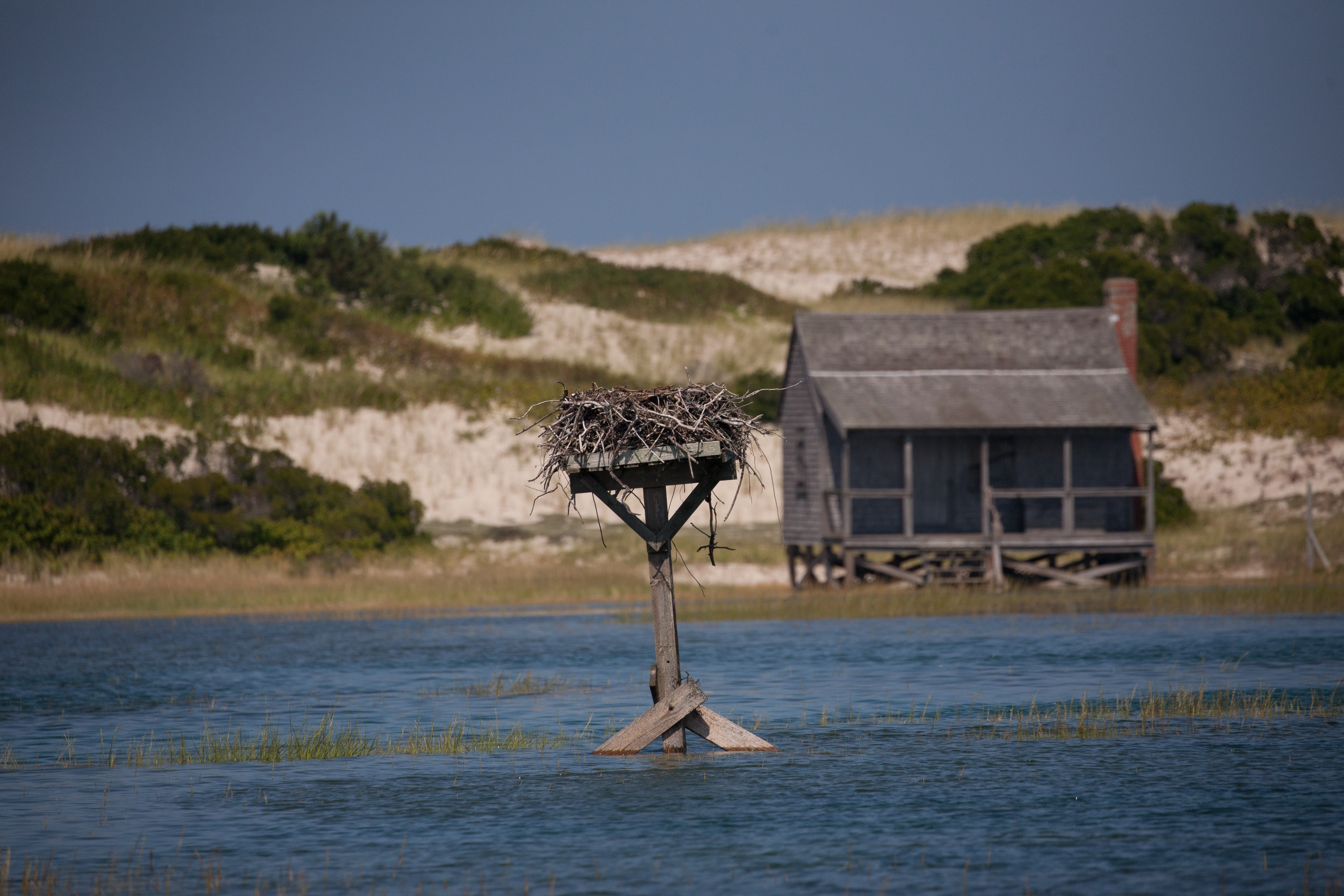 Osprey nest and cottage