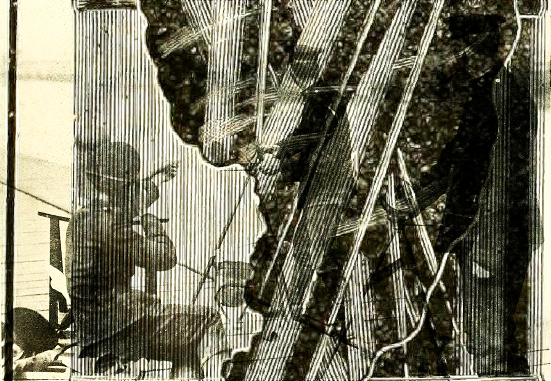 multiply-14784355295 copy.png.jpg