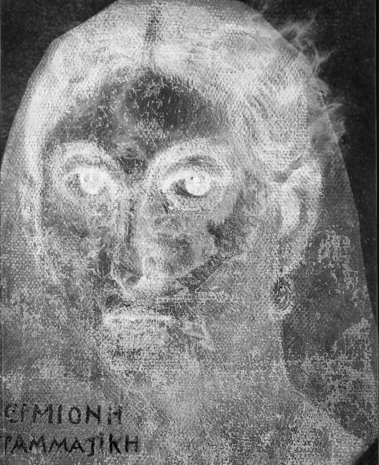 screen-14768076964 copy.png.jpg