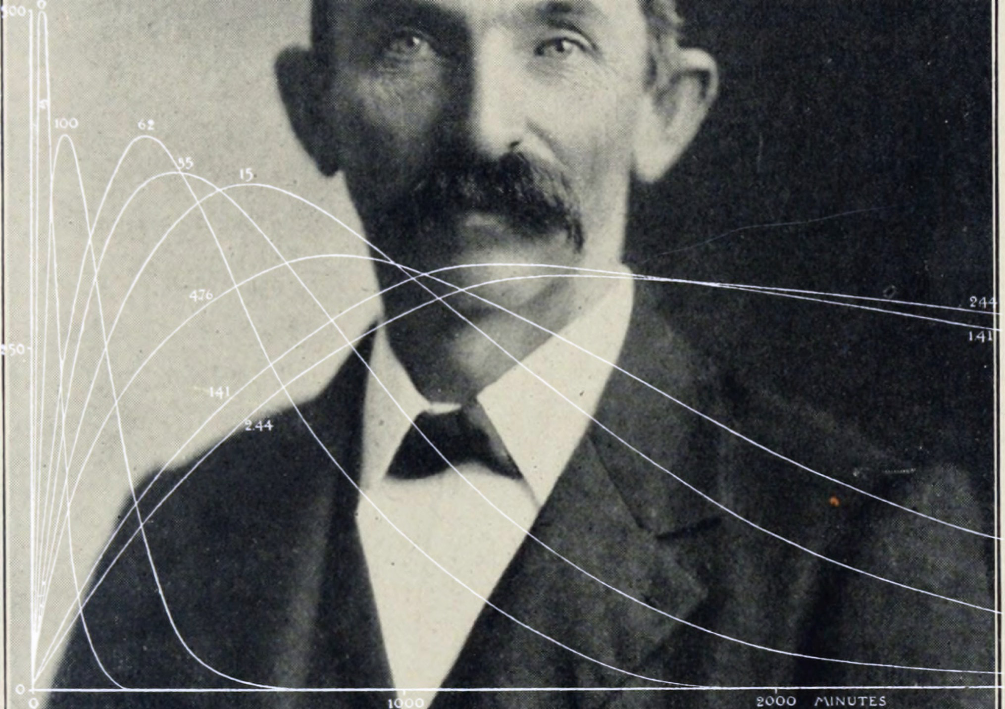 screen-14778014842 copy.png.jpg