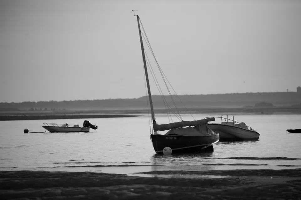 Cape Cod
