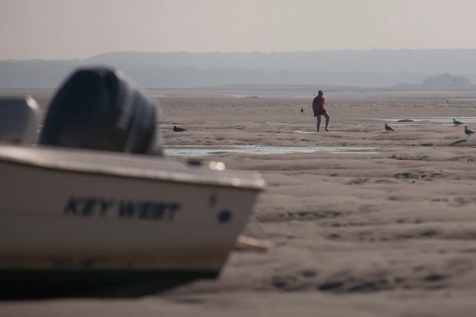 Walker on sand flats