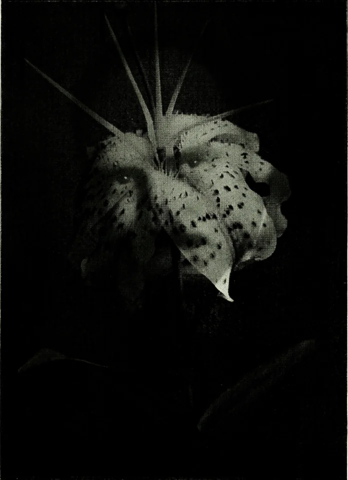 multiply-14588103870.png.jpg