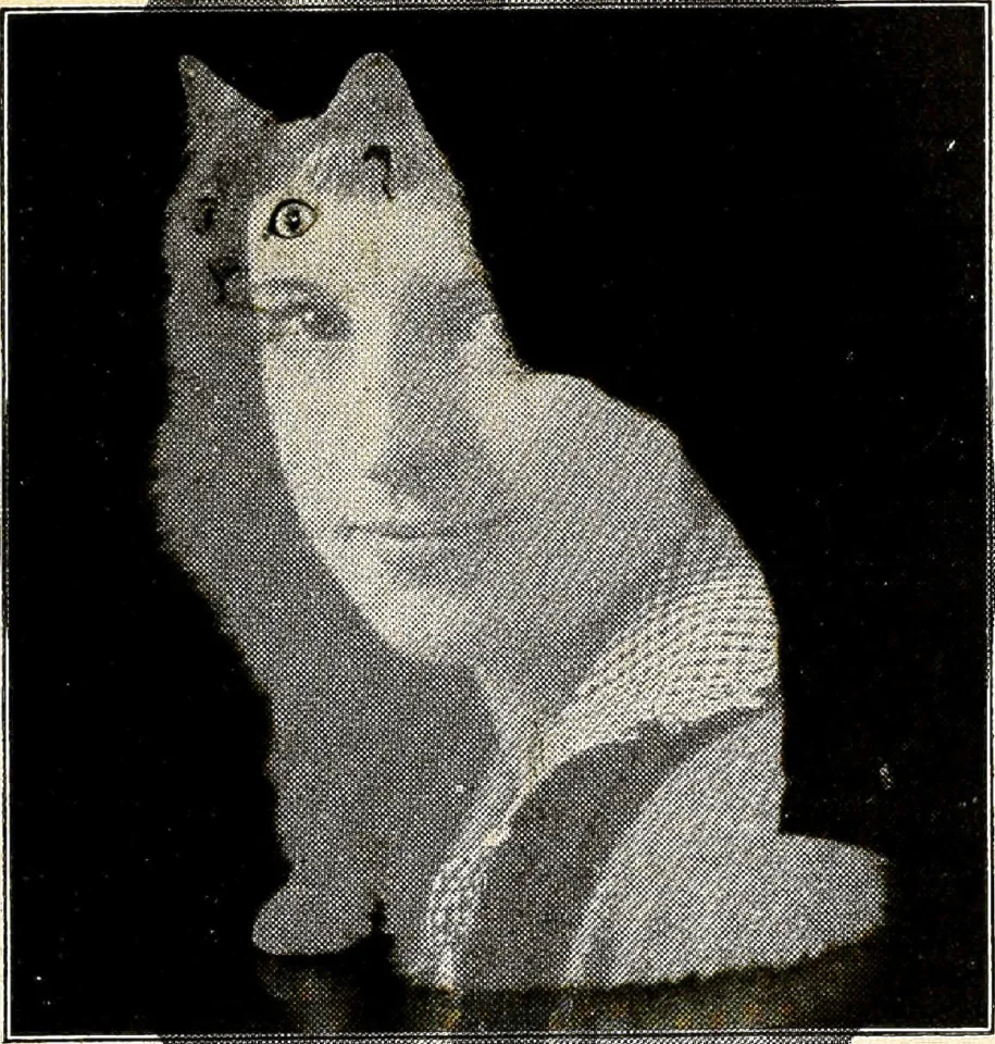 multiply-14595923079.png.jpg