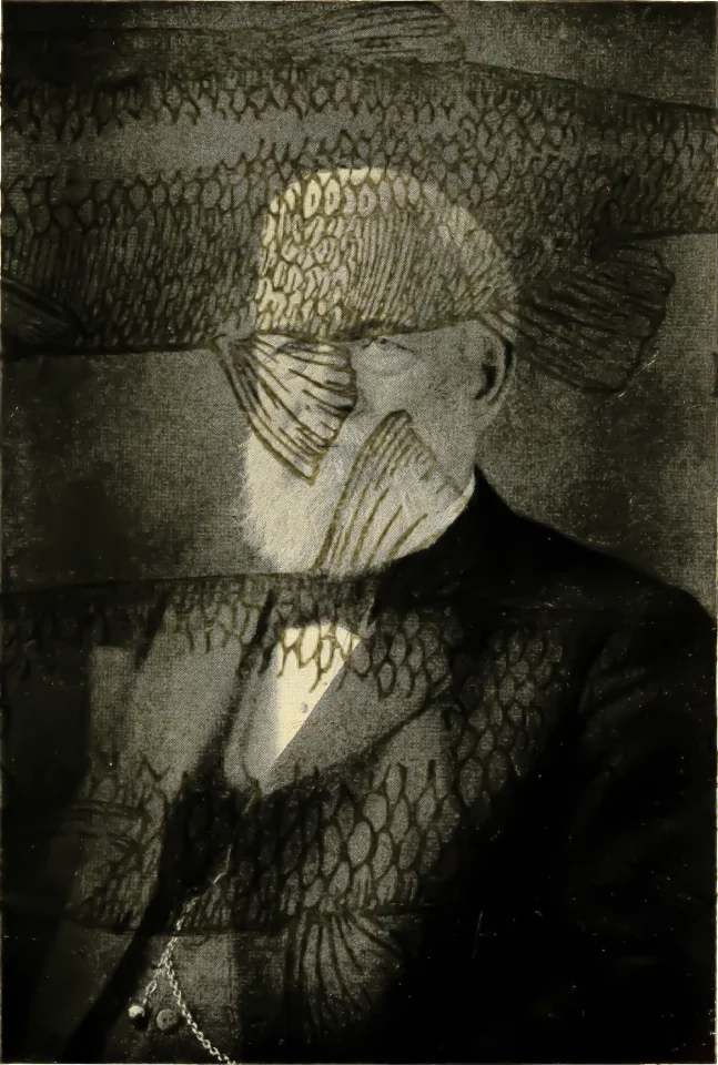 multiply-14596003618.png.jpg