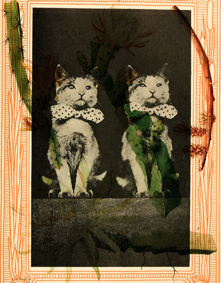 multiply-14780161651.png.jpg