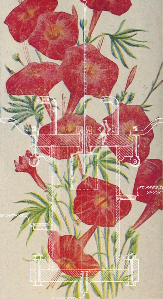 screen-14597141060.png.jpg