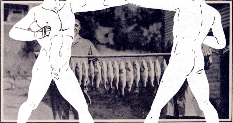 screen-14736912216.png.jpg