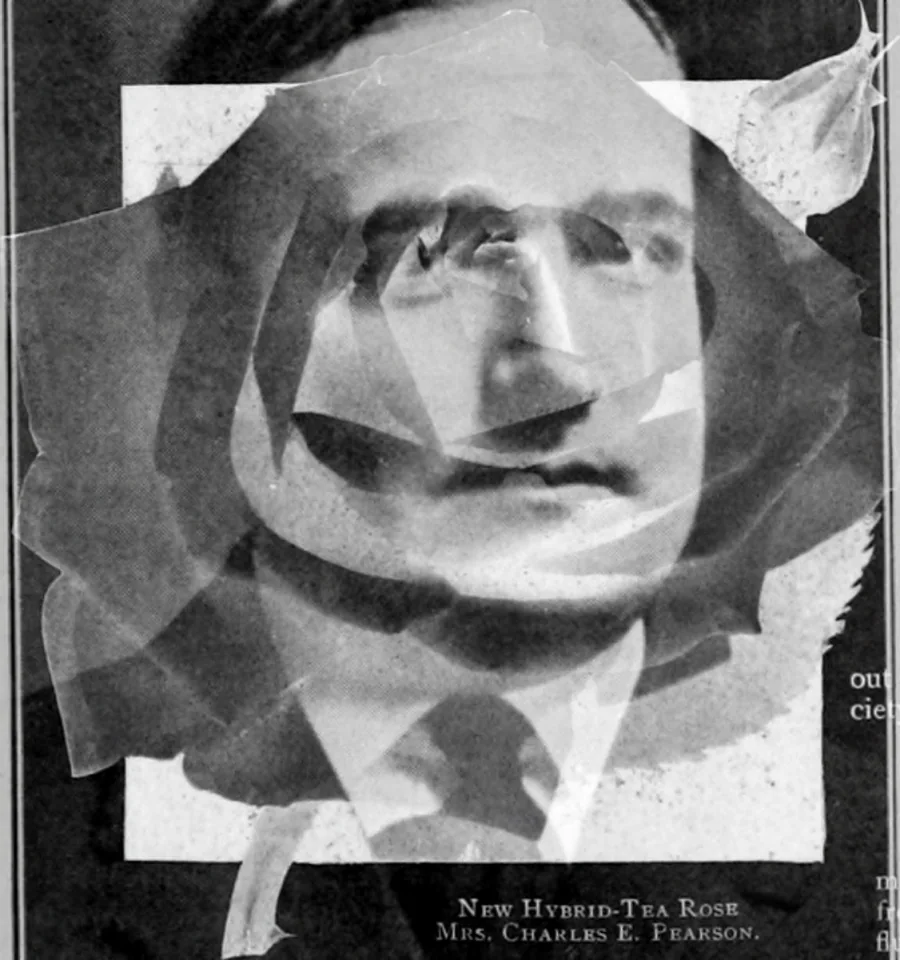 screen-14758992036.png.jpg