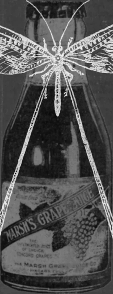 screen-14761473531.png.jpg