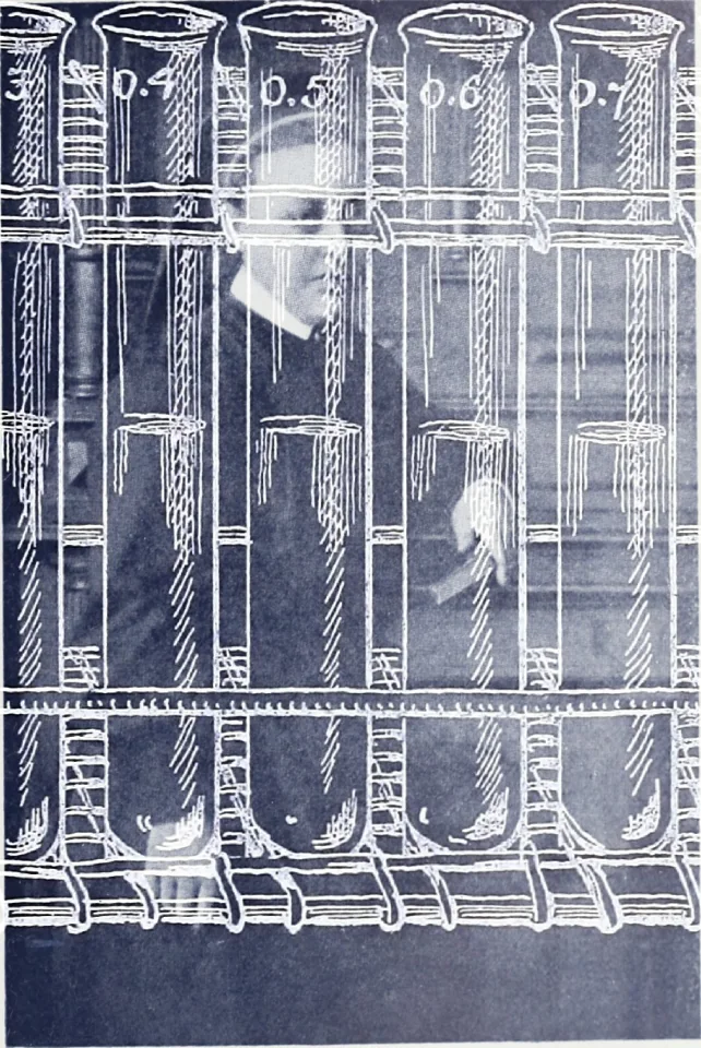 screen-14765397522.png.jpg