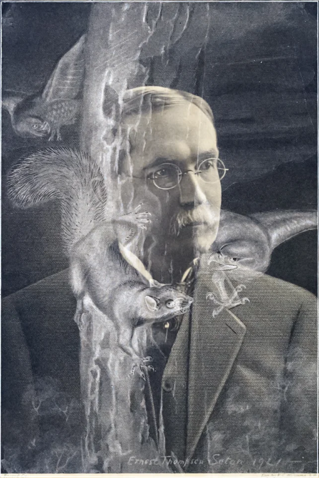 screen-14773089131.png.jpg