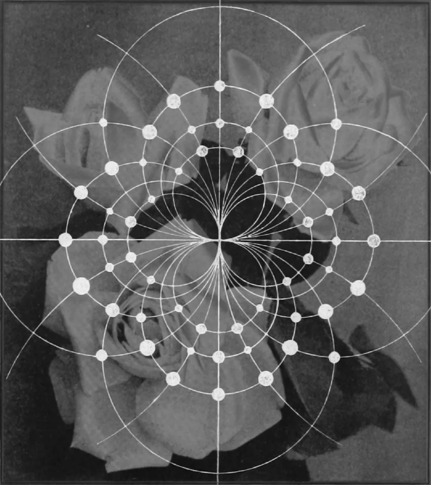 screen-14803152333.png.jpg