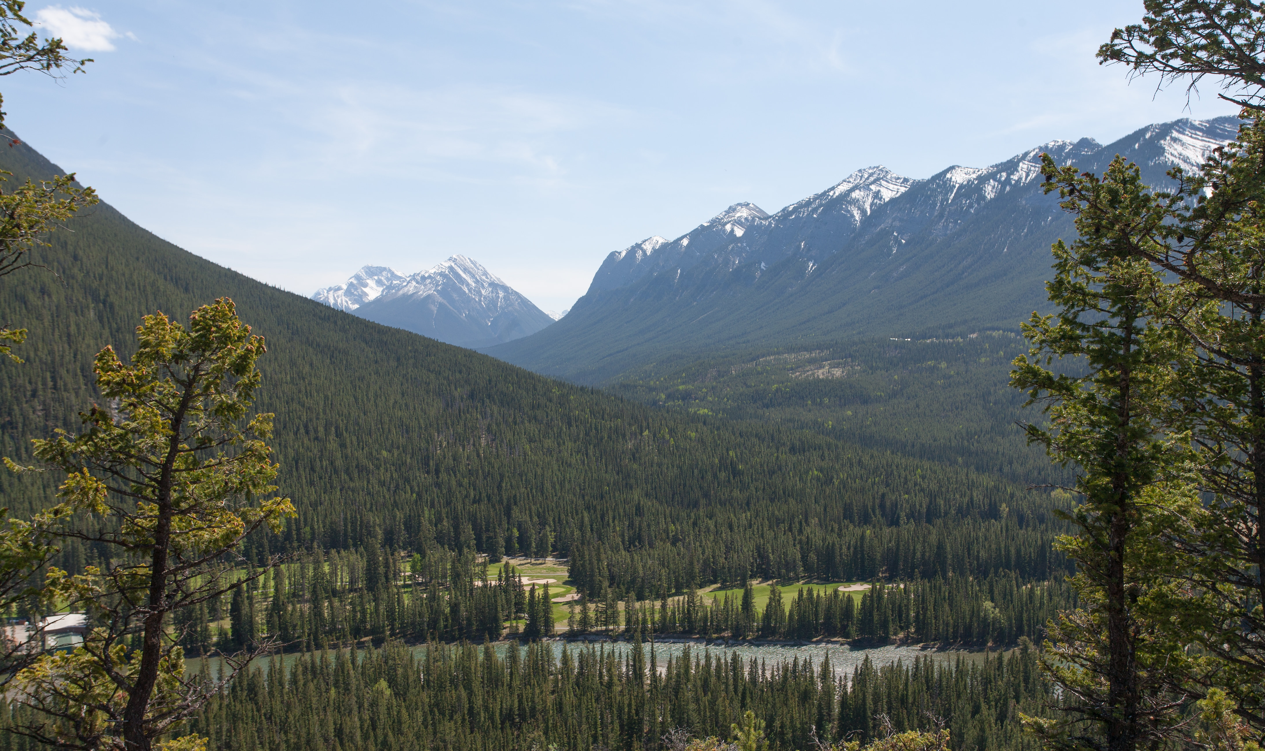 Bow Valley vista