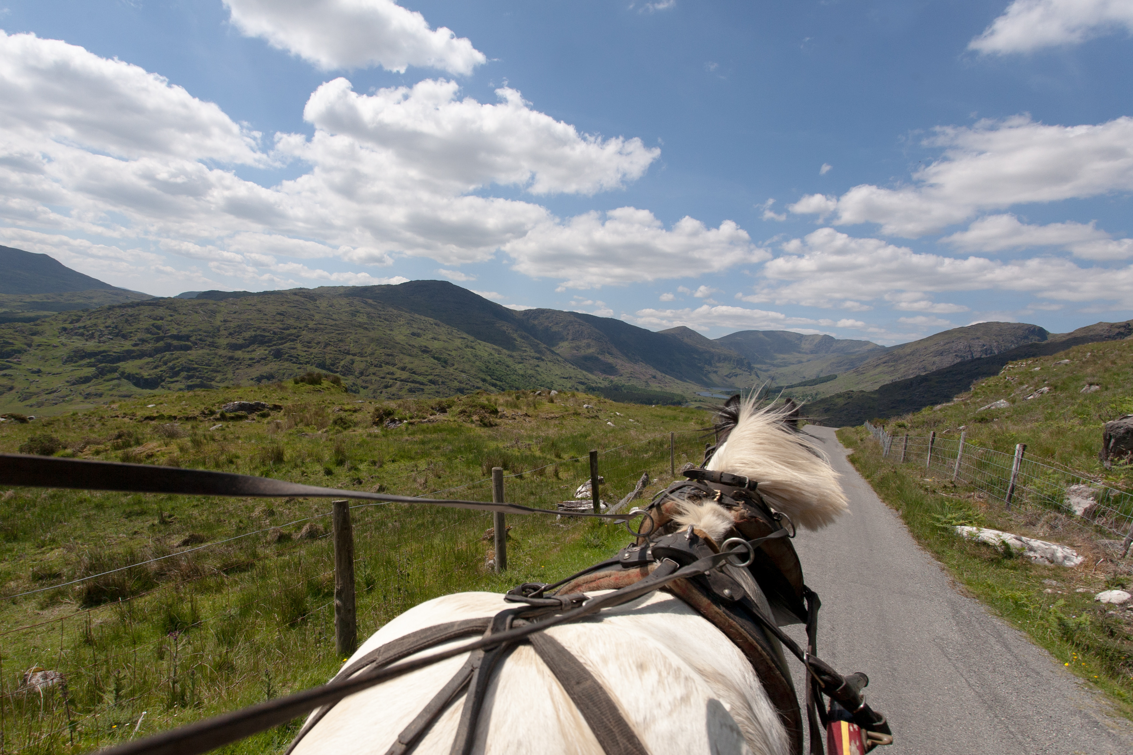 Jaunting car view