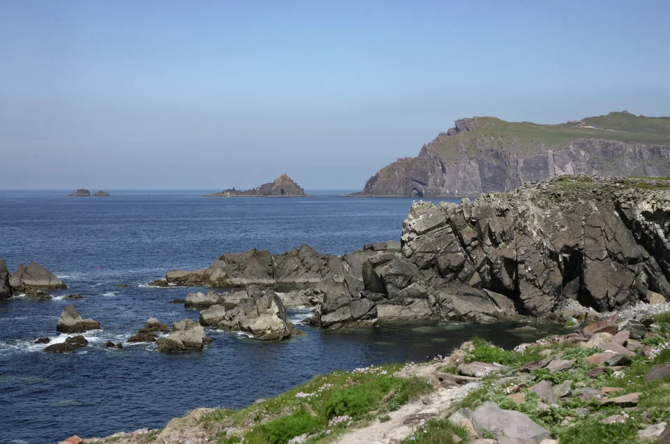 f49431480