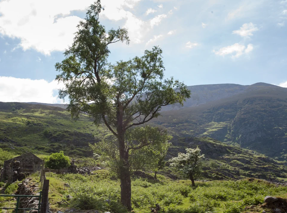 Gap of Dunloe valley