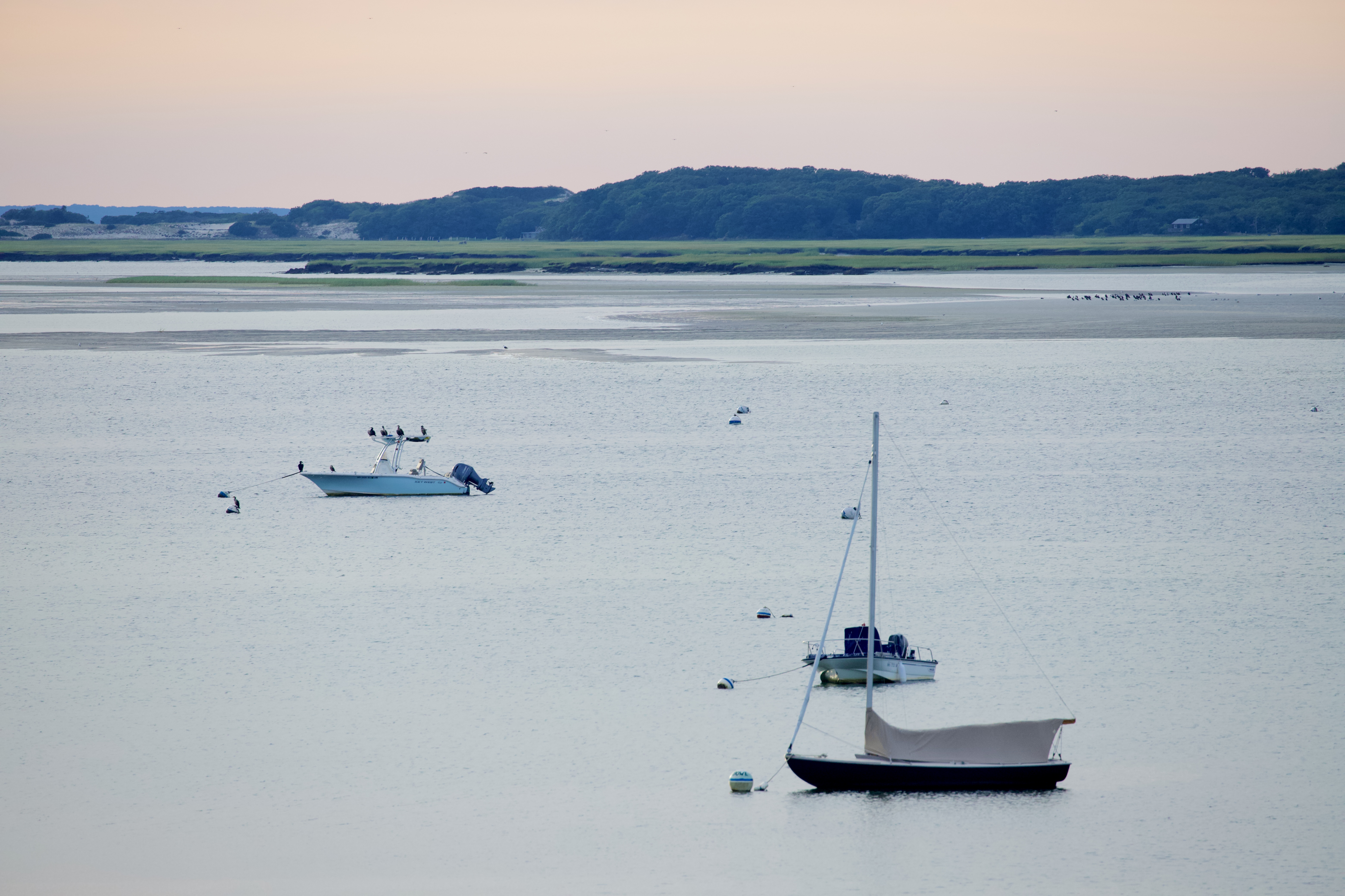Cape Cod